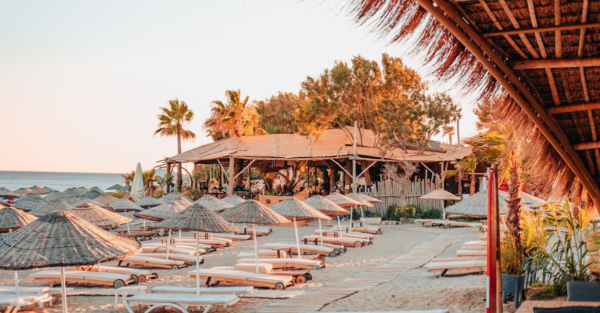 Benefits of Hardwood Timber for Outdoor Decking