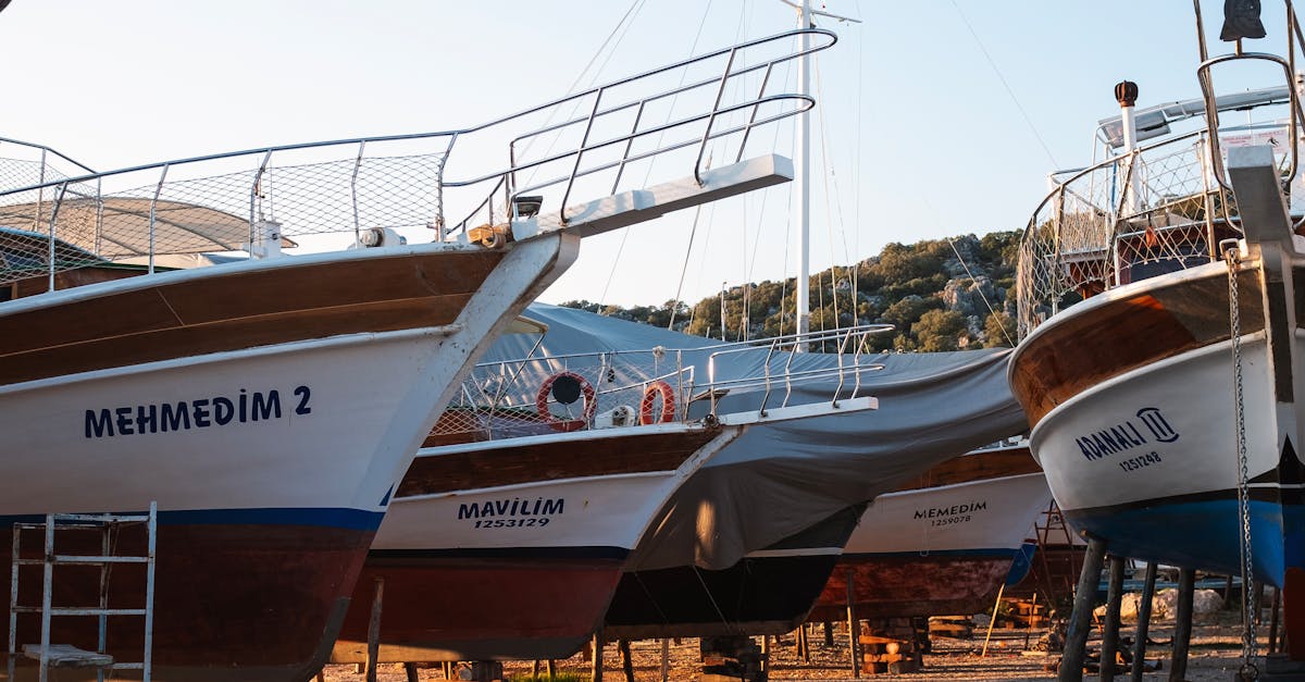 Best Practices for Cleaning Your Deck in Coastal Conditions