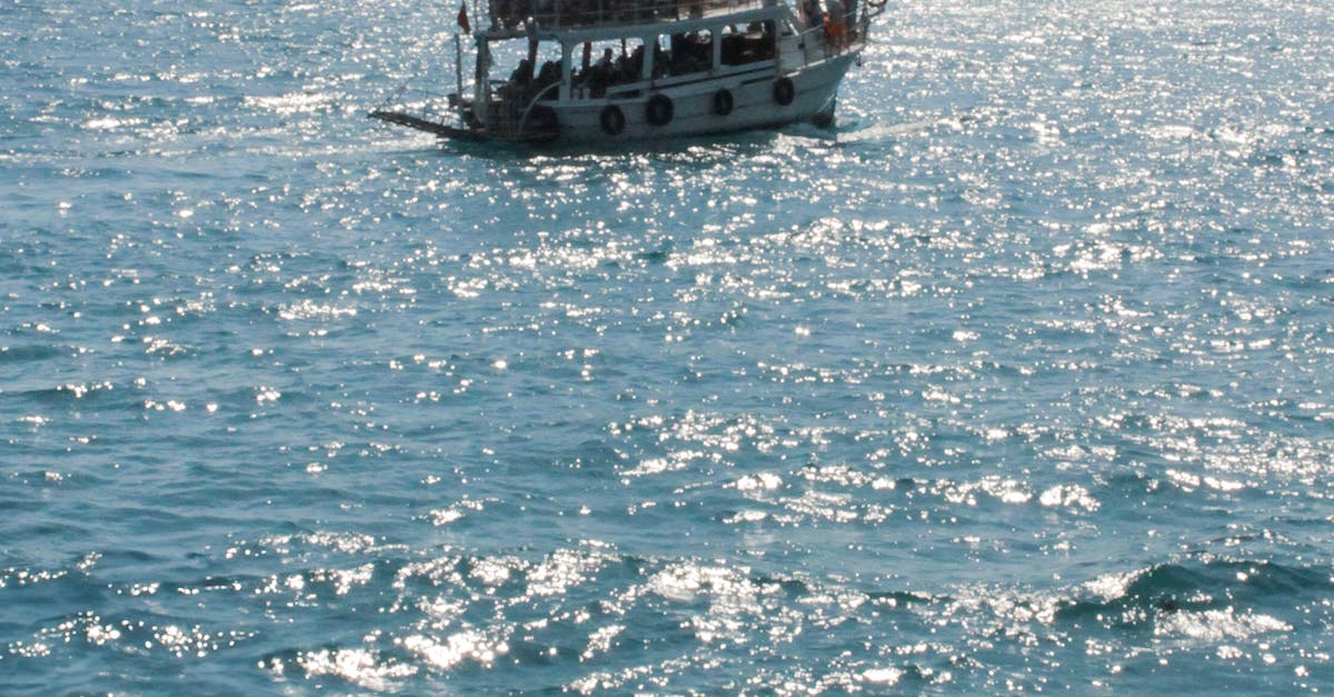 Best Practices for Sourcing Eco-Conscious Decking Supplies