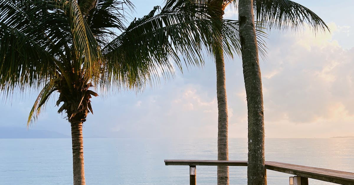 Choosing the Right Decking Finish for Your Sunshine Coast Home