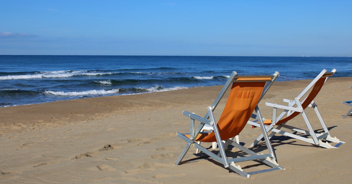 Choosing the Right Wood Treatments for Deck Longevity