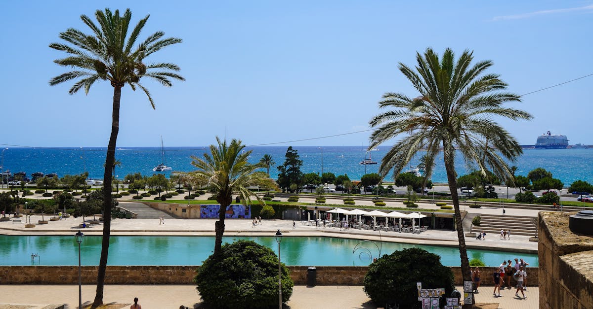 Common Mistakes to Avoid When Sealing Your Deck