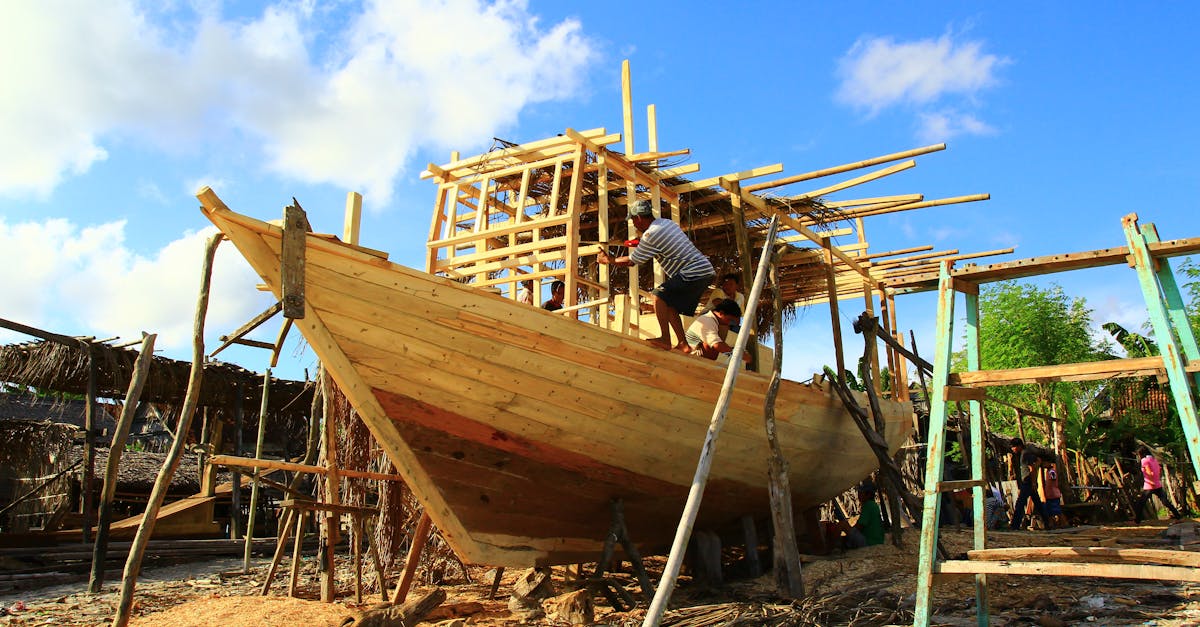 Comparing Softwood and Hardwood Decking Options