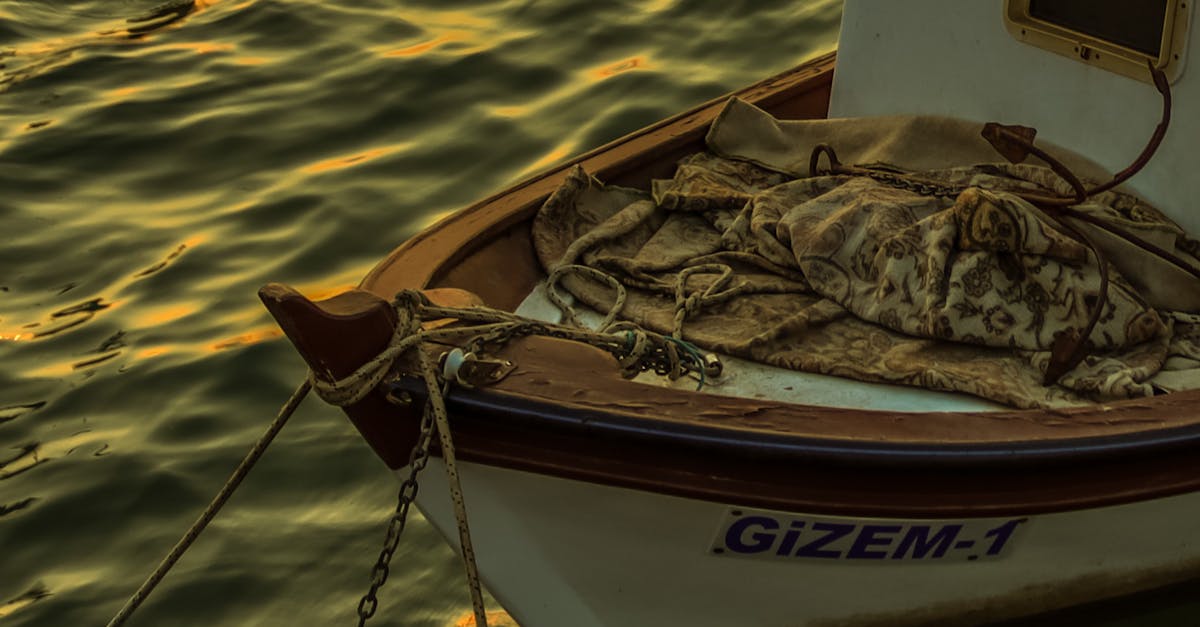 DIY Tips for Maintaining Deck Integrity Against Rot