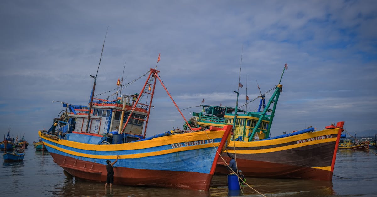 Eco-Friendly Sealants for Sustainable Deck Care