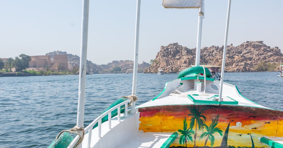 Enhancing Durability with Timber Deck Treatments