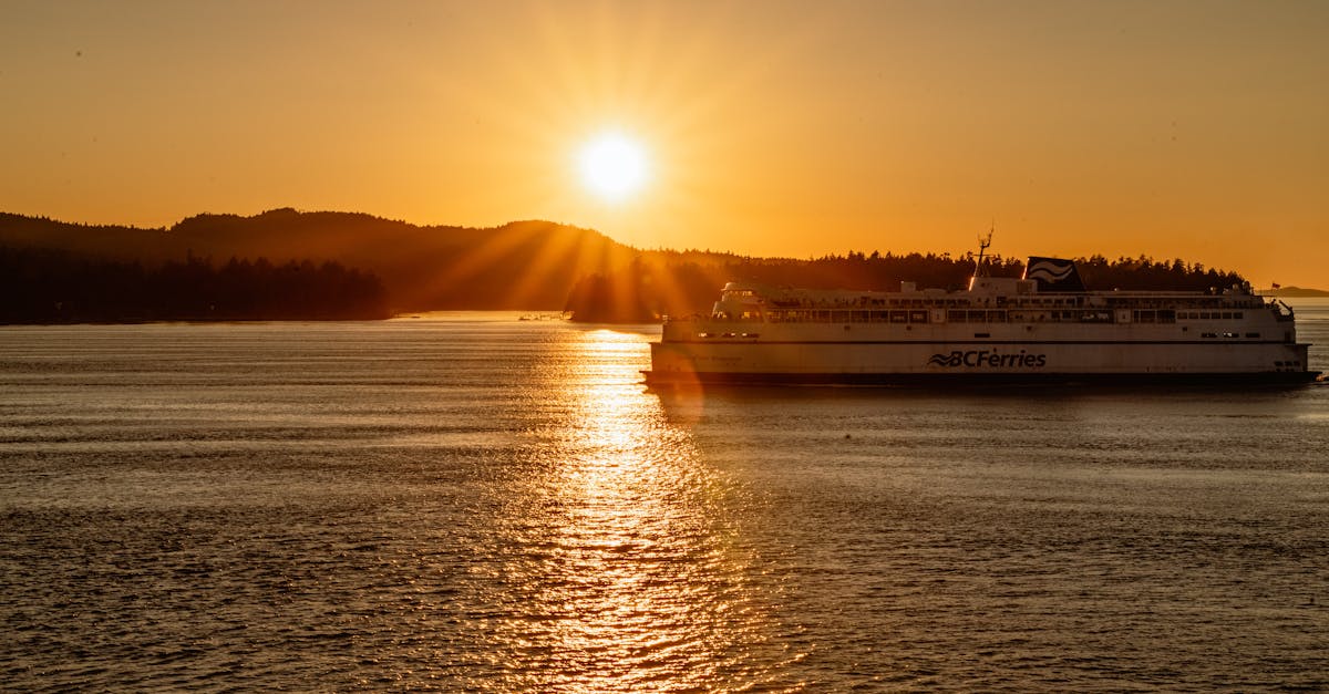 How to Design the Perfect Outdoor Space with Composite Decks