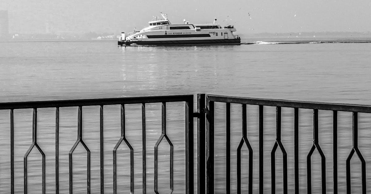 Long-Term Value of Investing in PVC Decks