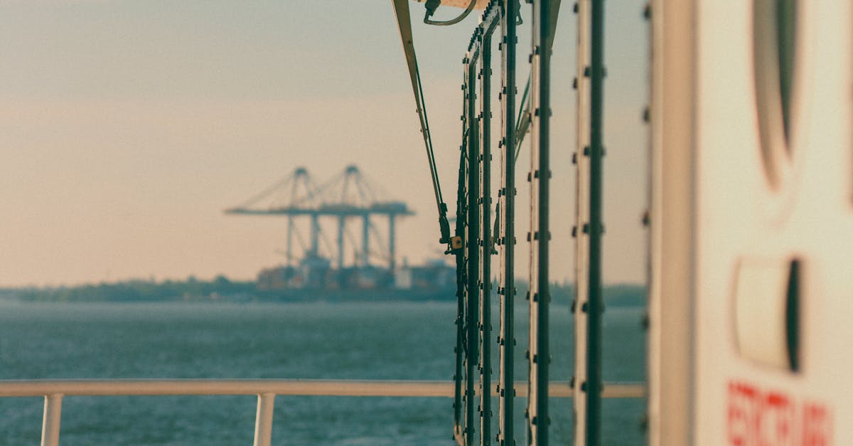 Maintenance Requirements for Composite Decking Compared to Timber