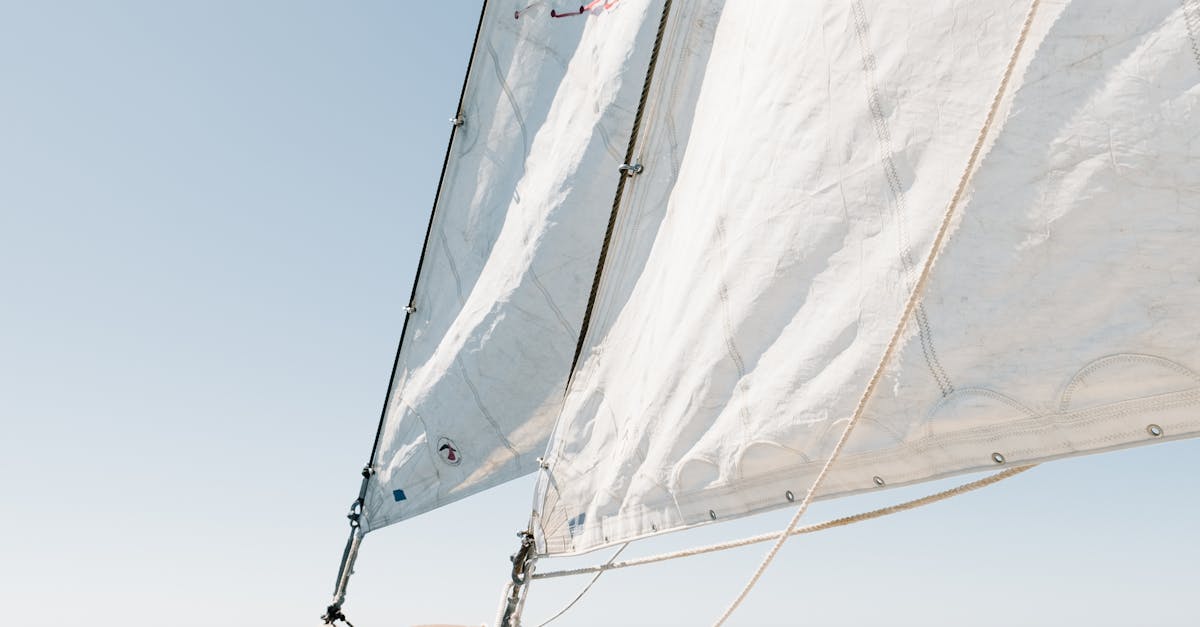 Popular Timber Deck Designs for Coastal Homes