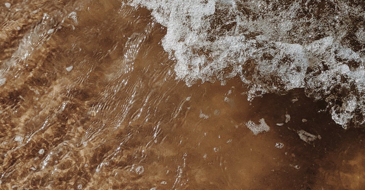 The Environmental Impact of Composite Decking on the Sunshine Coast